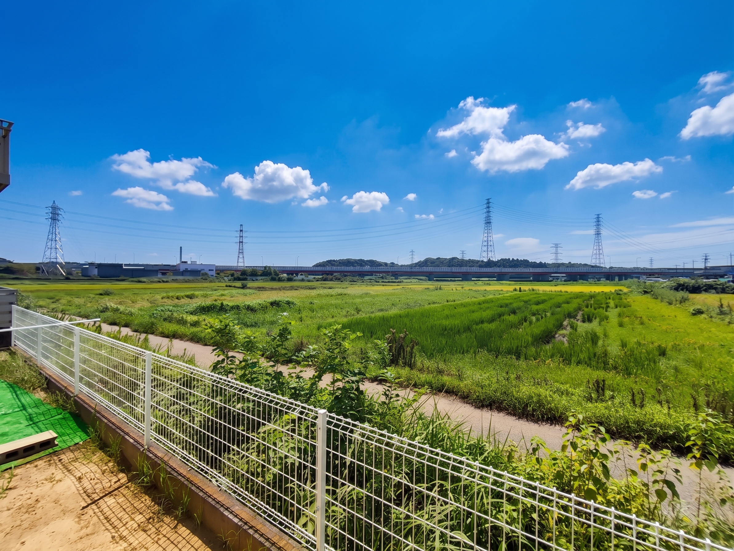 カムカムの木 物井駅前の窓から見える田園風景